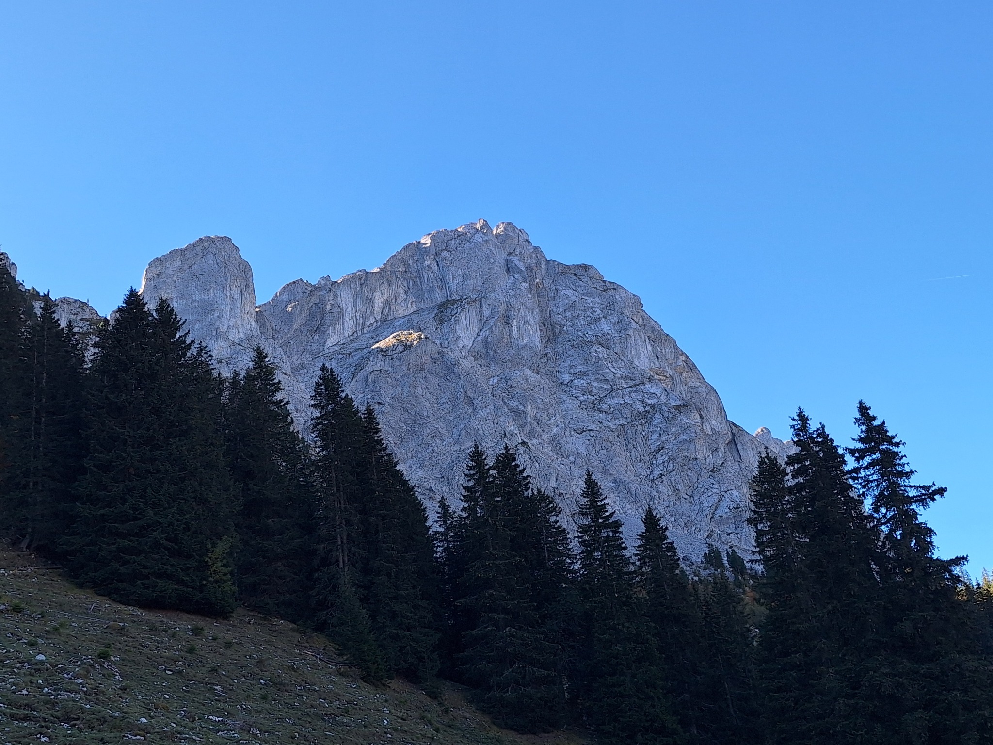 Grande paroi calcaire au-dessus des sapins