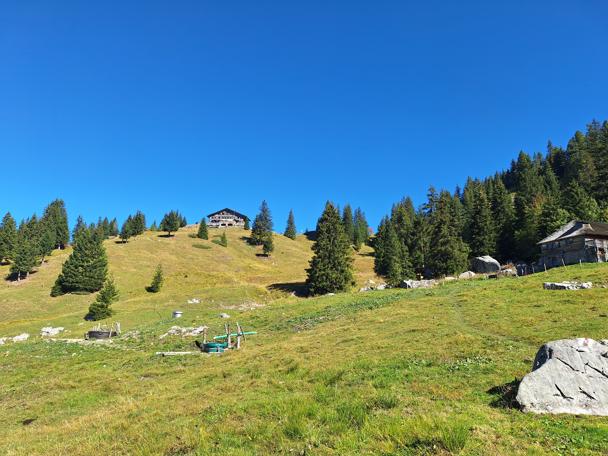 Alpage ensoleillé avec un chalet au sommet de la pente