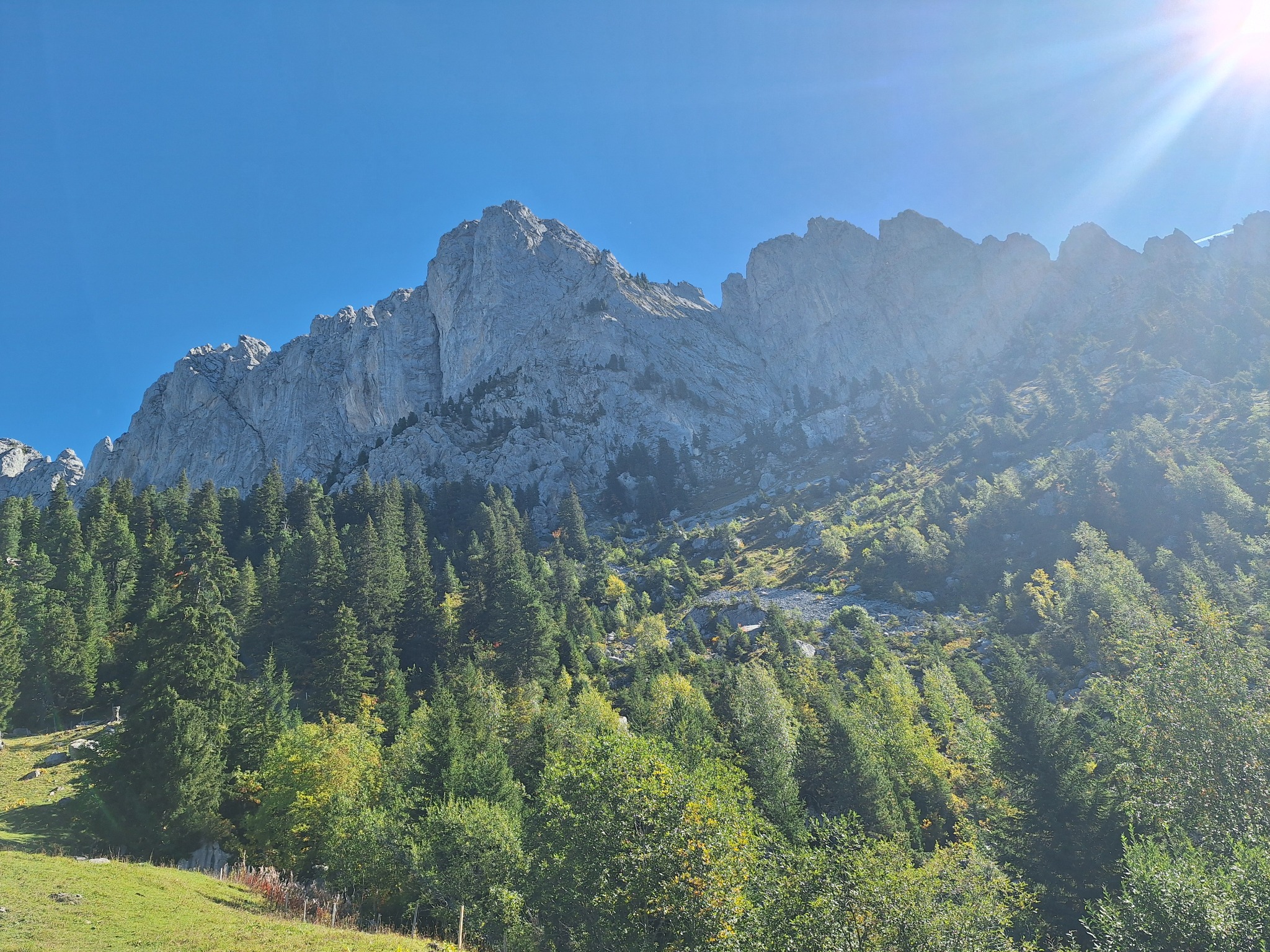 Falaises calcaires et forêt de montagne